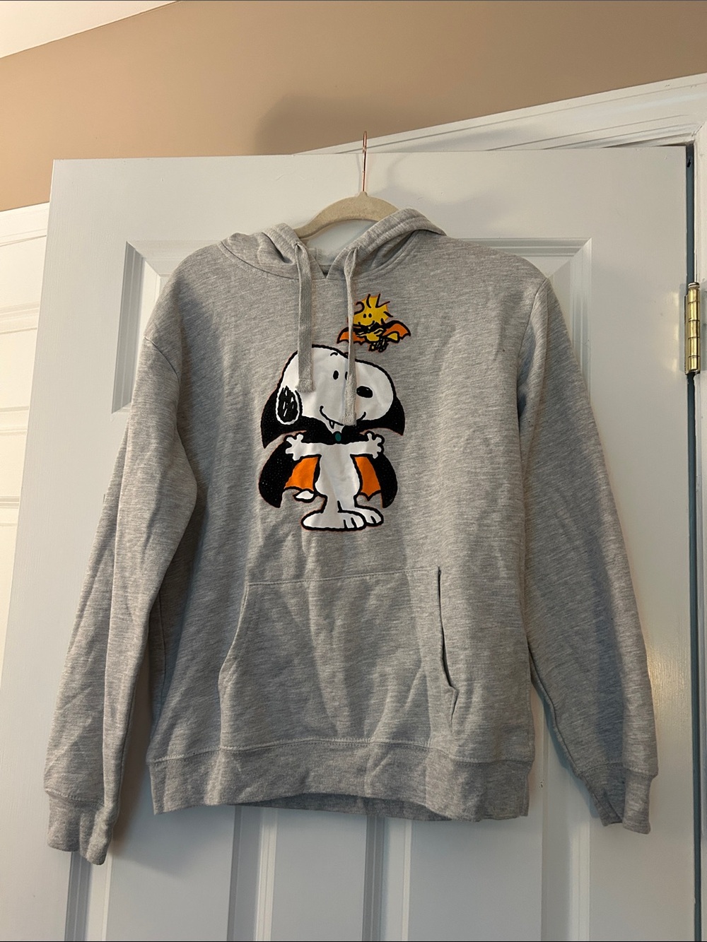 Snoopy Halloween sweatshirt (no tags/size)